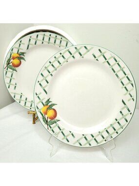 Garden Trellis Stoneware Salad Plates By Citation Green White Peach Set of 2 8"